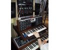 More Moog stuff